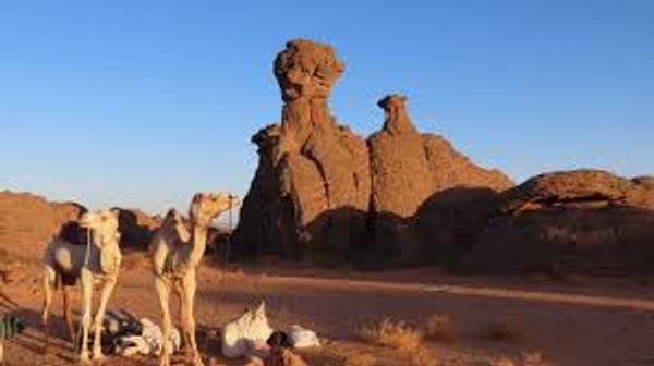 magnifique appartement en plein sahara algérien