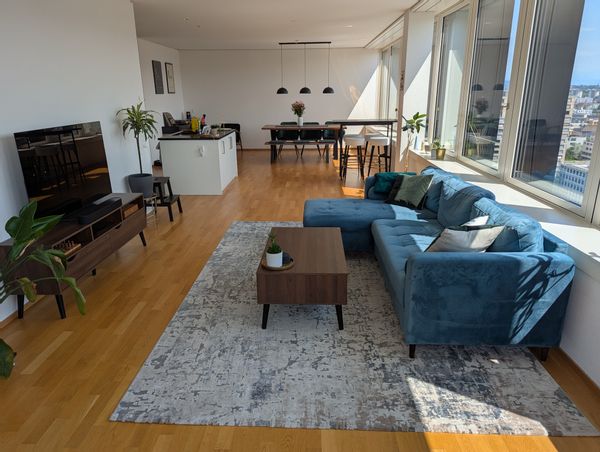 Modern 2 bedroom apartment in Zurich