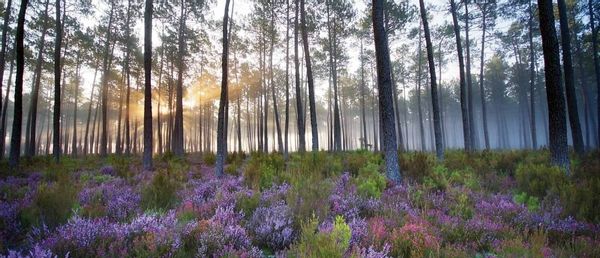 La maison de Auriane et Fred, proche commodités, de l'océan, de la ville et de la montagne, Espagne