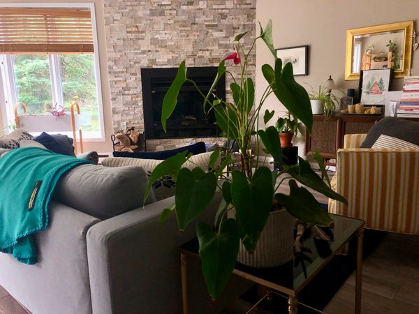 Condo lumineux 2 chambres, piscine, au coeur du plein air et du ski!