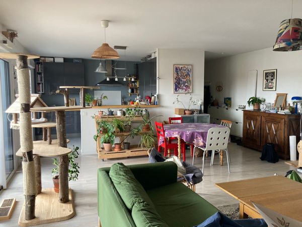 Casa de Jonas