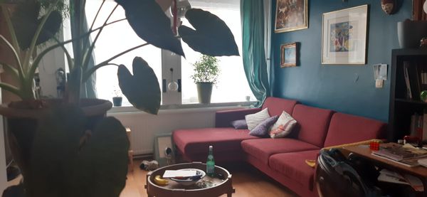 huis van Virginie