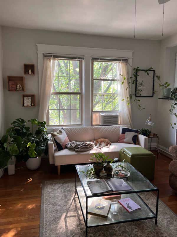Sunny spacious one bedroom in Washington, DC — looking for reciprocal exchange in London