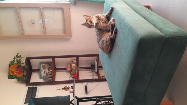 Josefina Leila's house