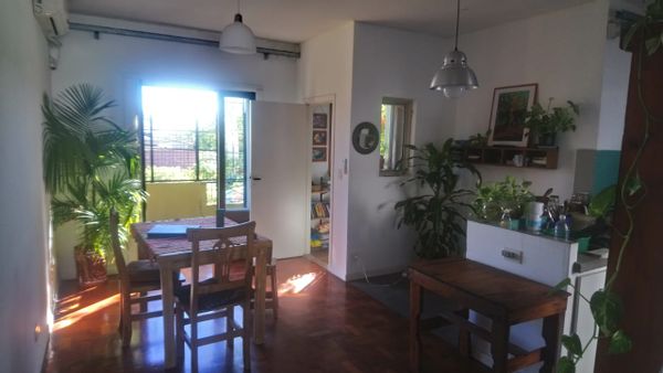 Daniela's house