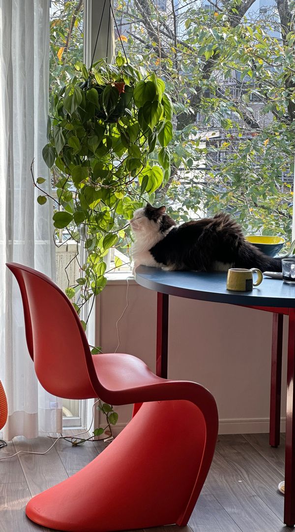 Echo s Haus
