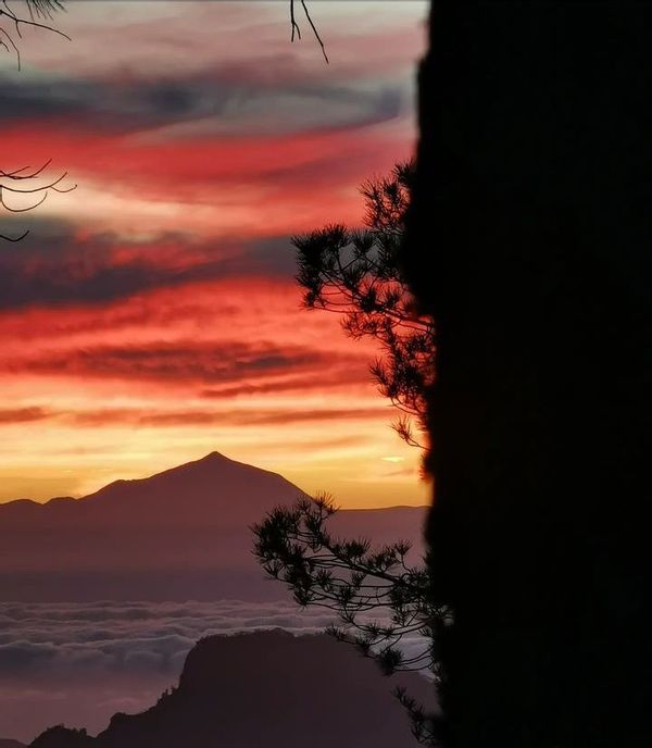 La maison de Jose Manuel
