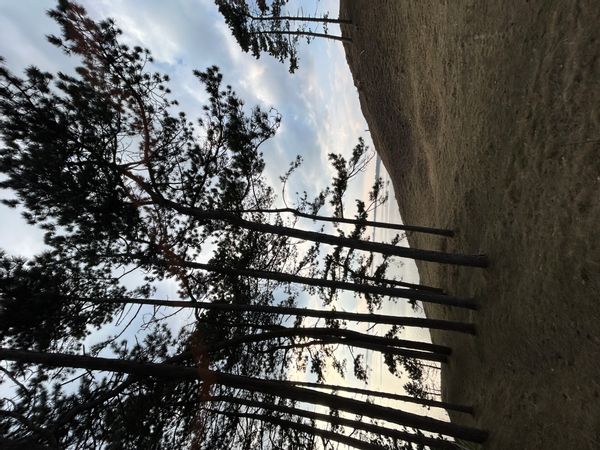 La maison de Katrine Rose