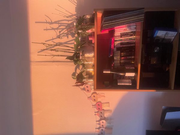 Bastien's house