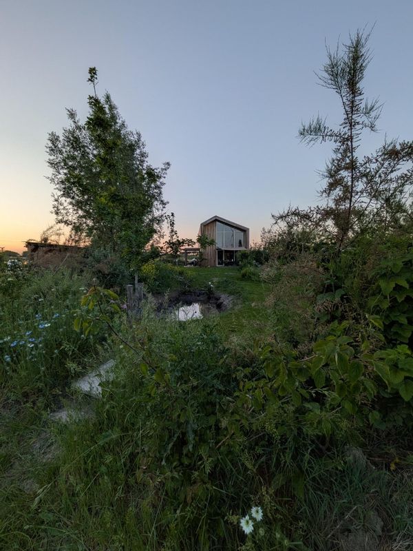 Peaceful family home with garden and cat (25 min from Amsterdam, Utrecht, Amersfoort, Almere)