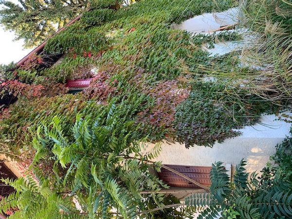 Une maison chaleureuse dans un quartier calme.