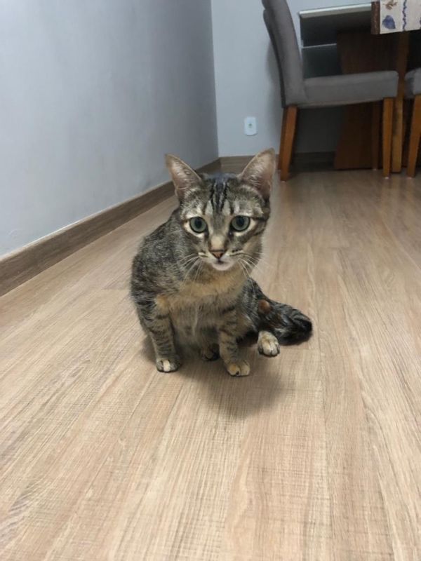 La maison de Caroline