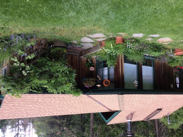 Cabin at a creek in the woods.