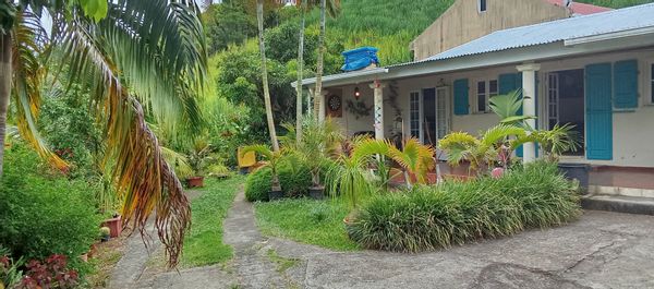 La maison du sud sauvage