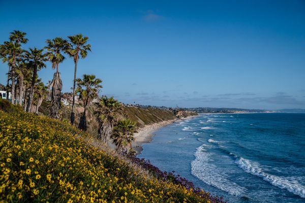 Beautiful, sunny room in Encinitas
