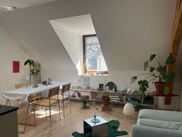 Appartement 1 chambre sous les toits dans le quartier des Pâquis à Genève, à deux pas du lac.