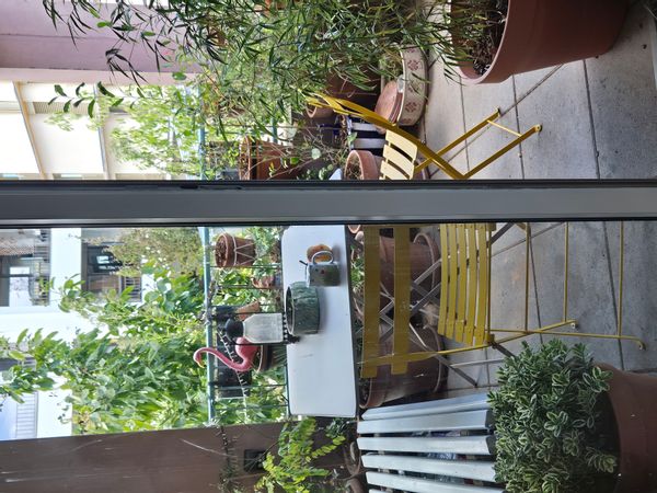 Appartement verdoyant, joyeux et calme.