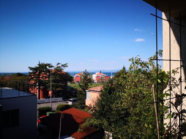 Marina's house
