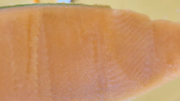 La maison de Thierry