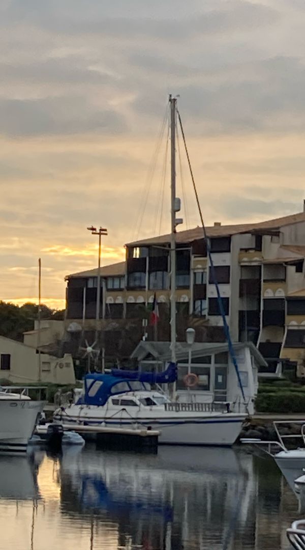 La maison de Teddy & Basil