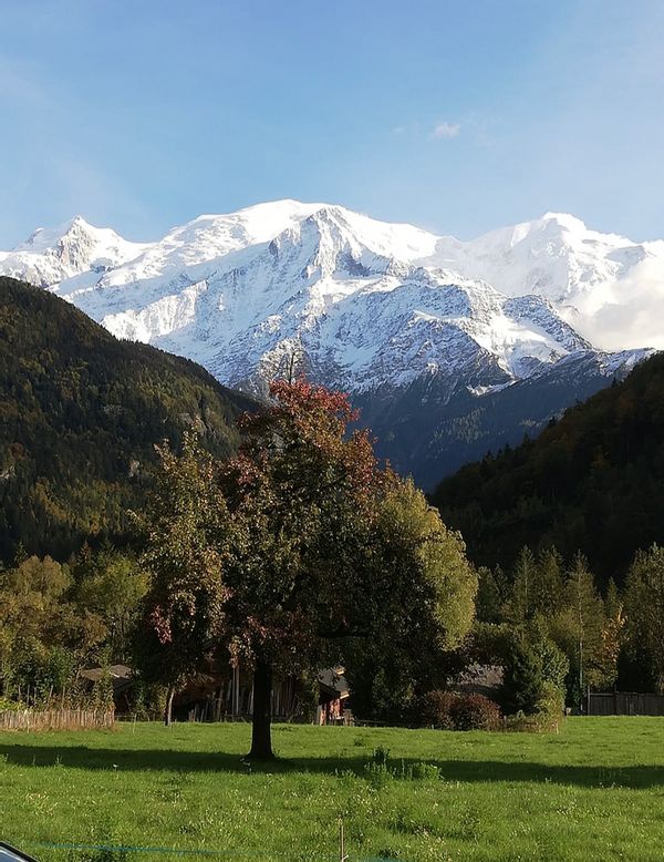 Natacha & Bertrands hus