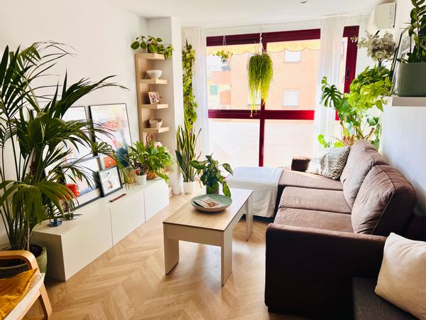 Cosy and modern apartment in Palma