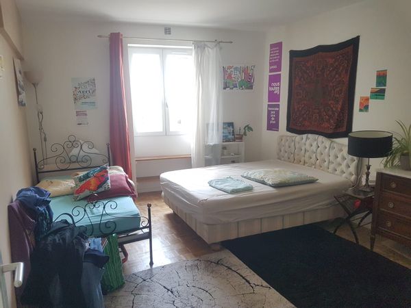 Appartement dionysien calme et spacieux