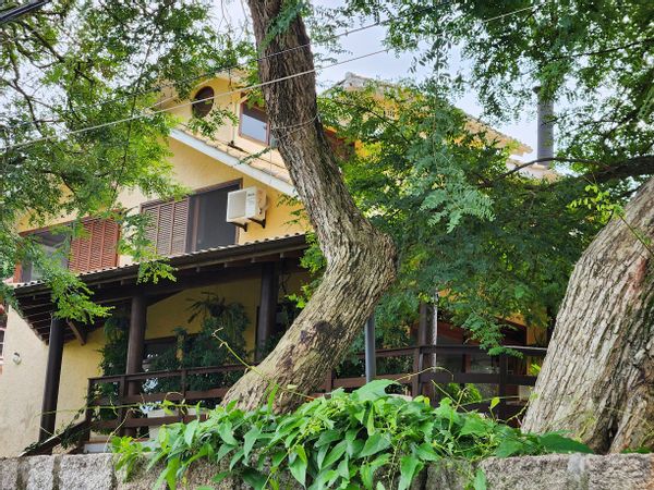 La maison de Daniela Ribeiro