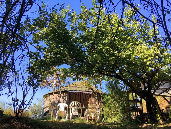 Yourte en bois en pleine nature