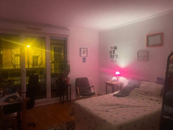 Casa de Flore