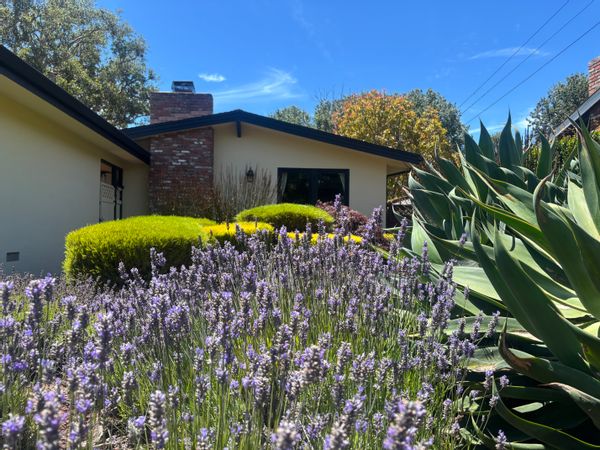 Tranquil Home/Launch Pad to World-Class Beaches, Golf, Hiking, Diving & More
