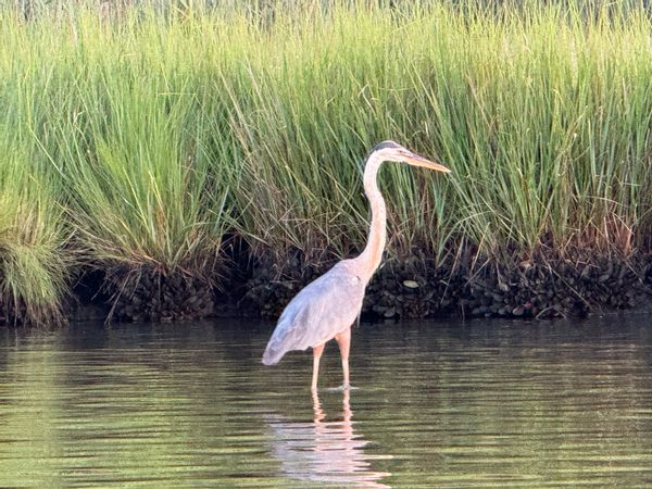 La maison de Stephanie