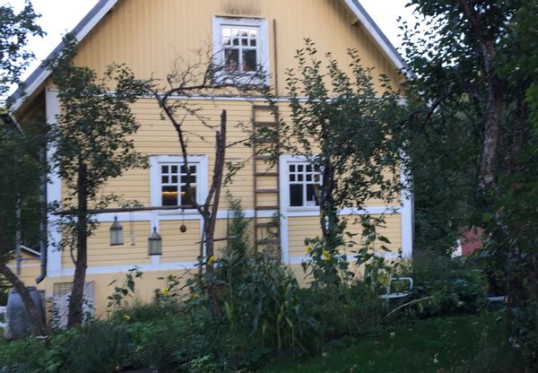 Tiinas hus
