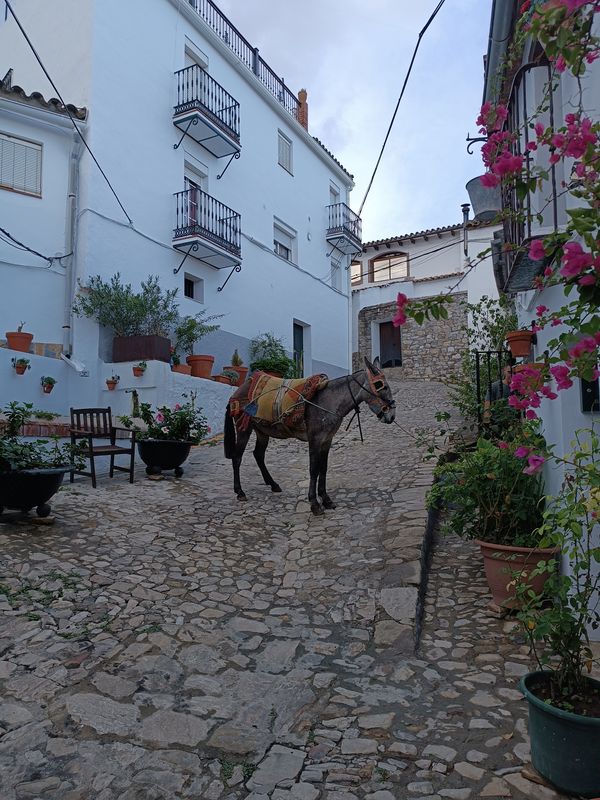 La maison de MARIA JOSE