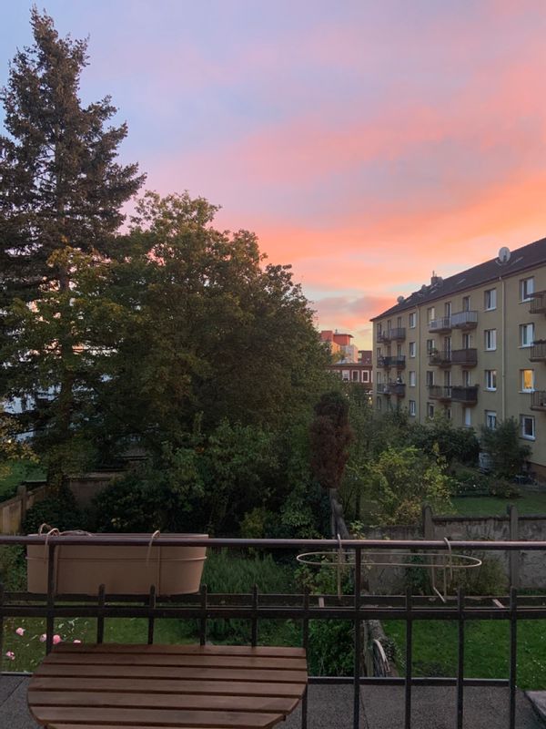 Lisa Aleksandras hus