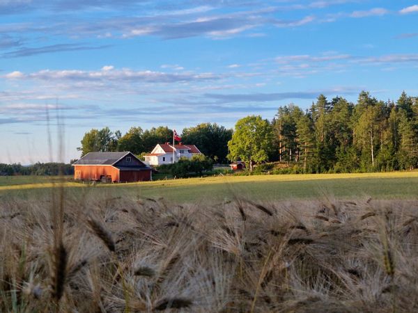 La maison de Steffen