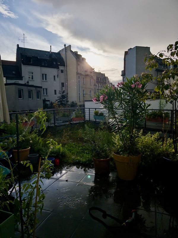 La maison de Jan