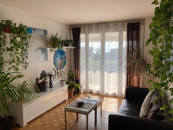 Akizanye and François’s nest