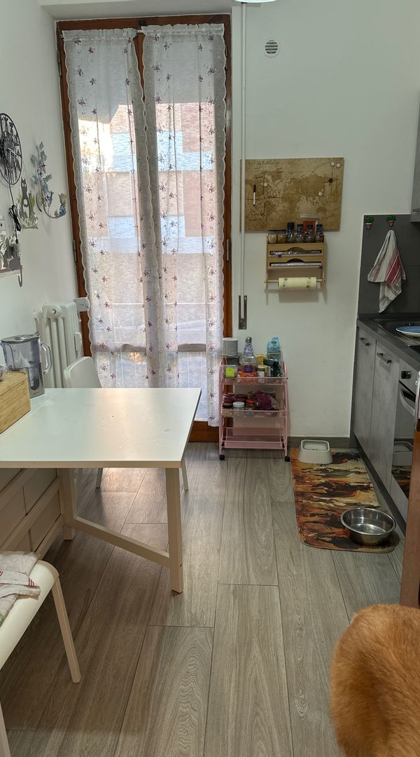 violetta s Haus