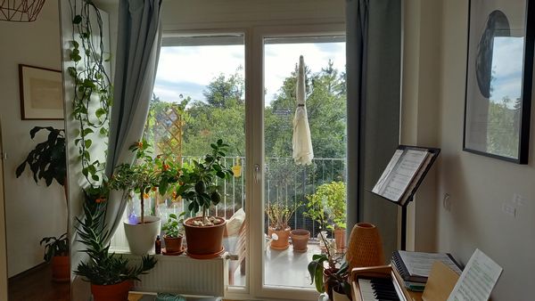 Very bright, quiet 3-room flat next to nature reserve and city centre of Vienna