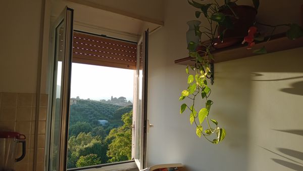 Casa de Elisa