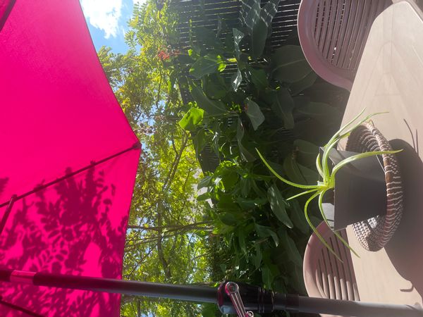 La maison en ville proche de la mer