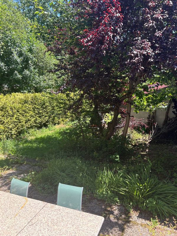 Albertine's house