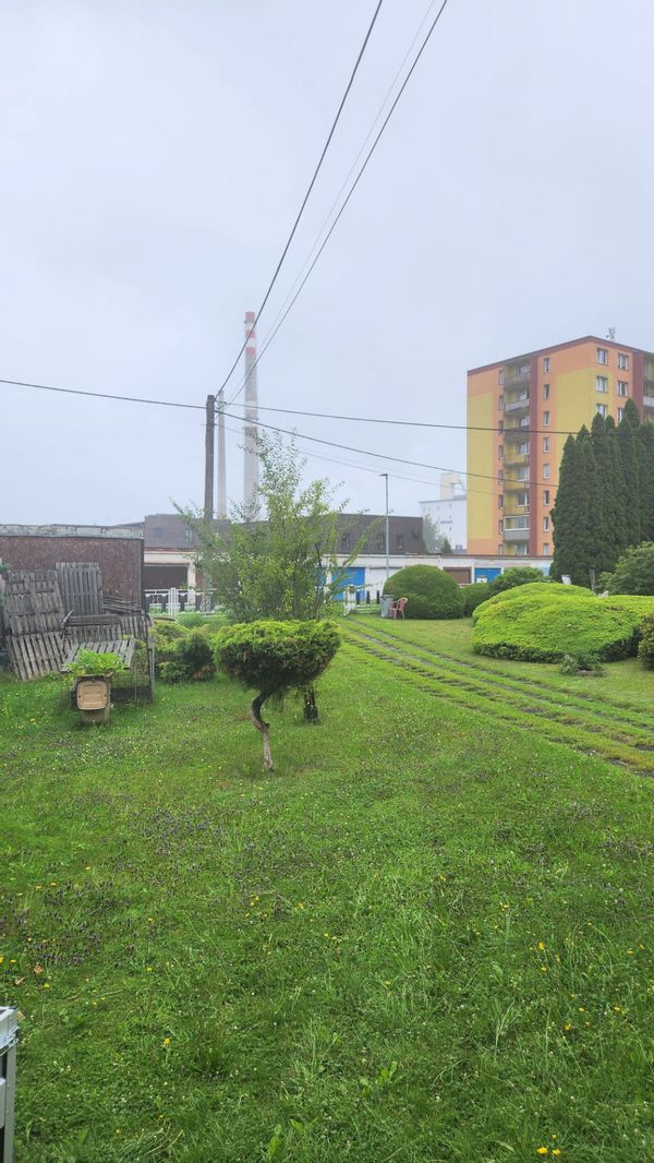 Pavel house