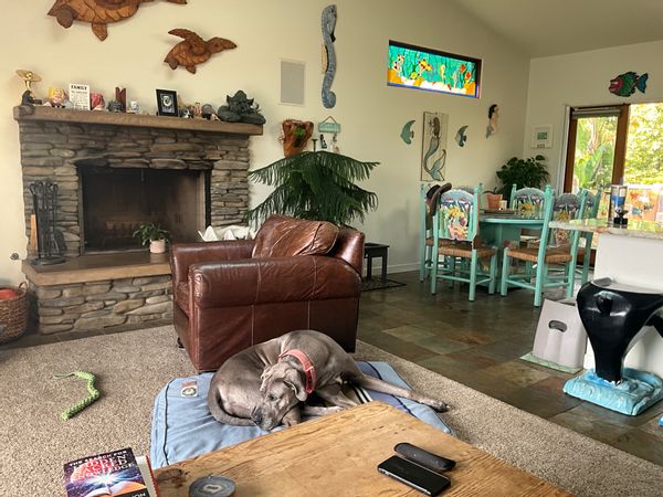 Casa de Stacey