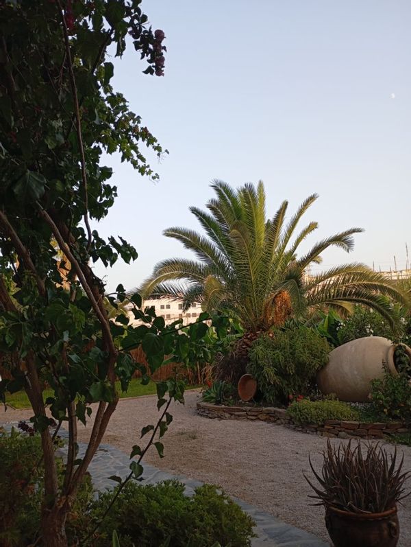 La maison de Salvador