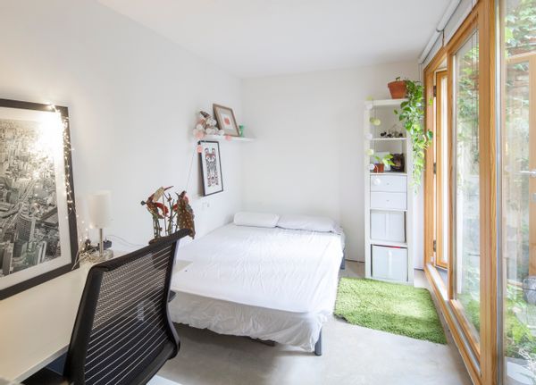 Beautiful loft and guest room with garden and 3 cats