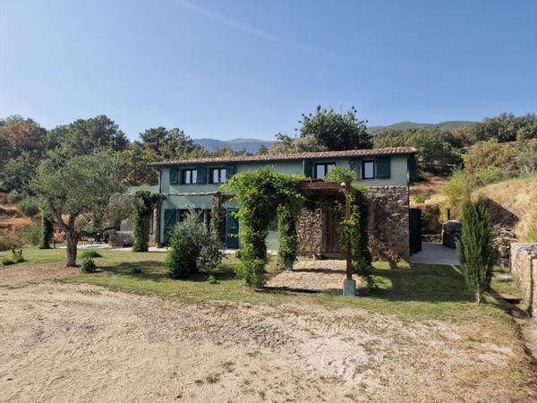 Francisco's house