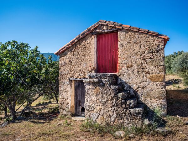 Francisco's house