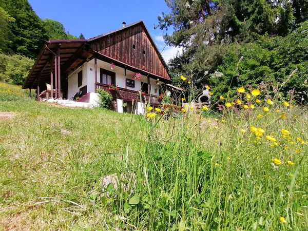 Casa de Mircea